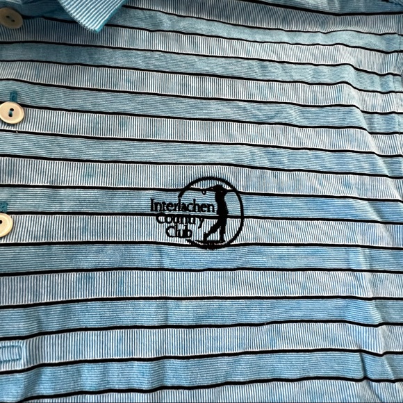 Peter Millar interlachen country club blue stripe polo L - Picture 3 of 6